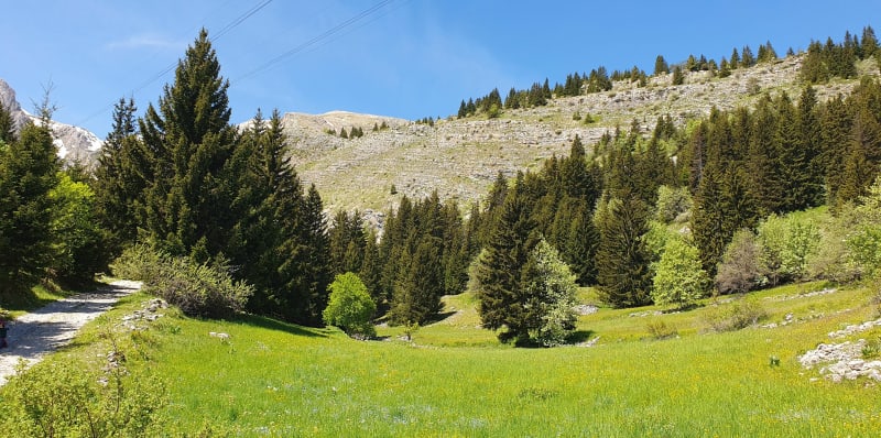 Boucle du Vallon d'Ane - Dévoluy