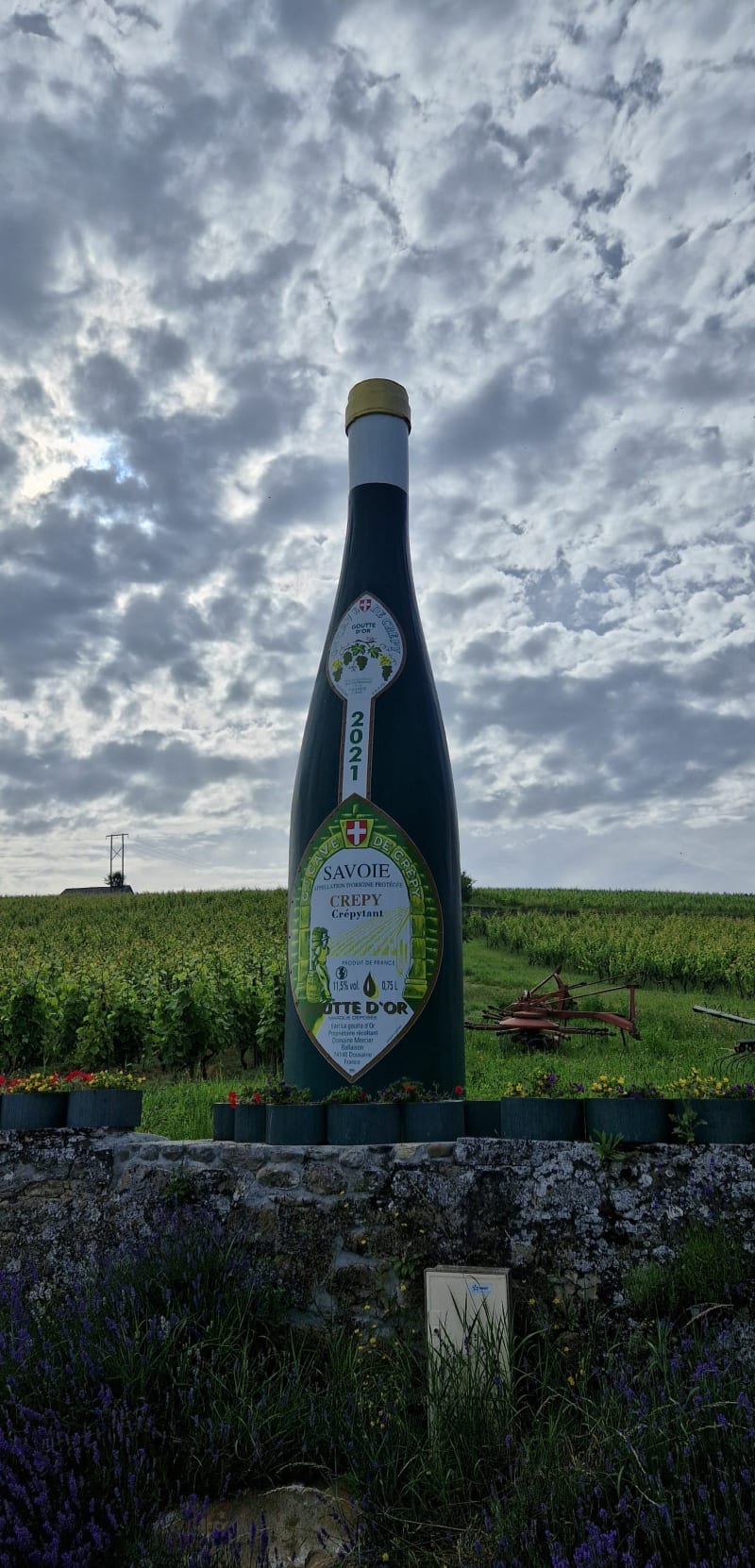 Les vignes du Crépy - Douvaine