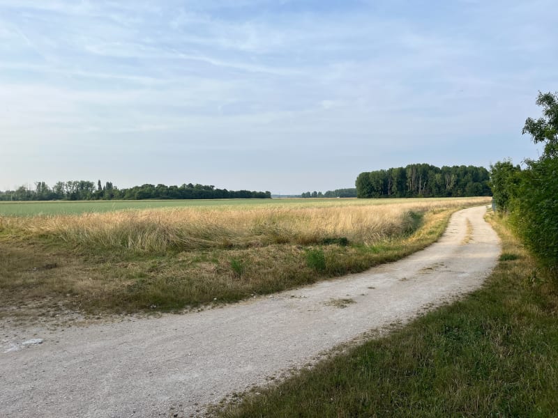 Boucle entre Vineuil et Montlivaut - Vineuil