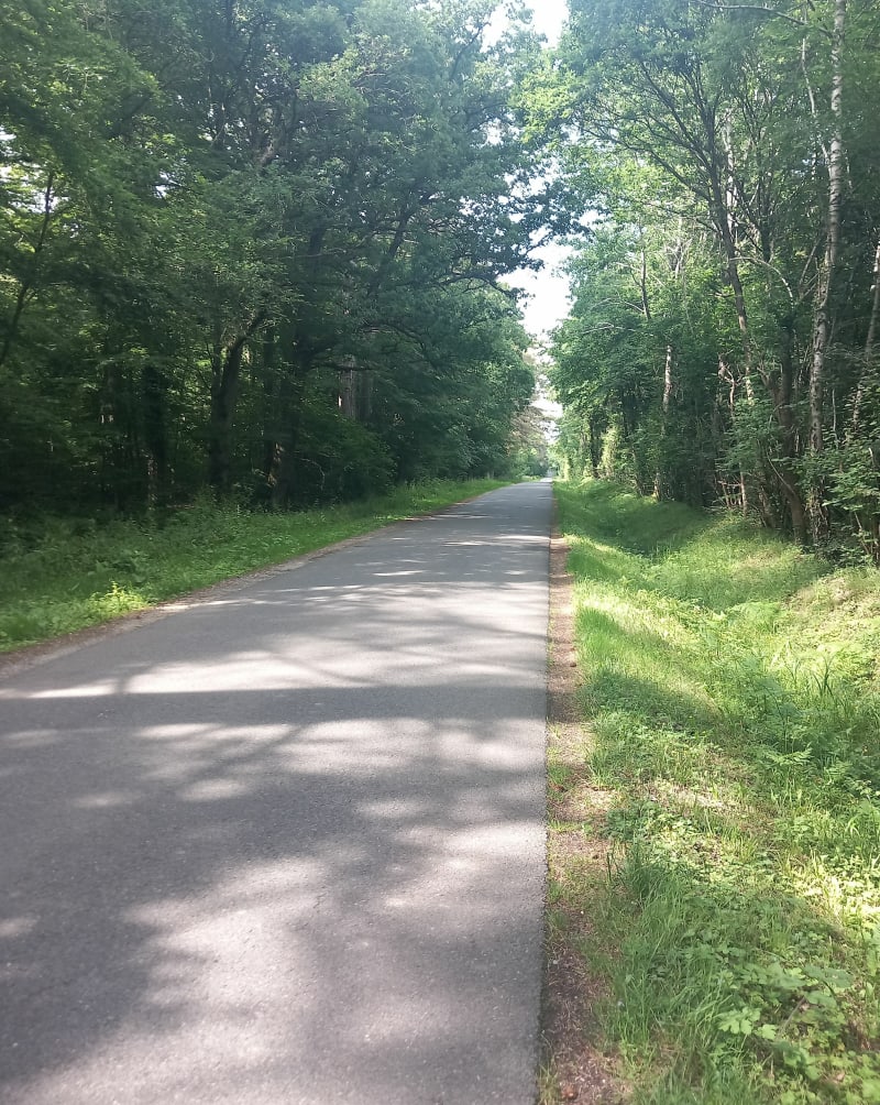 Sortie sur roue de campagne autour d'Argentan - Argentan