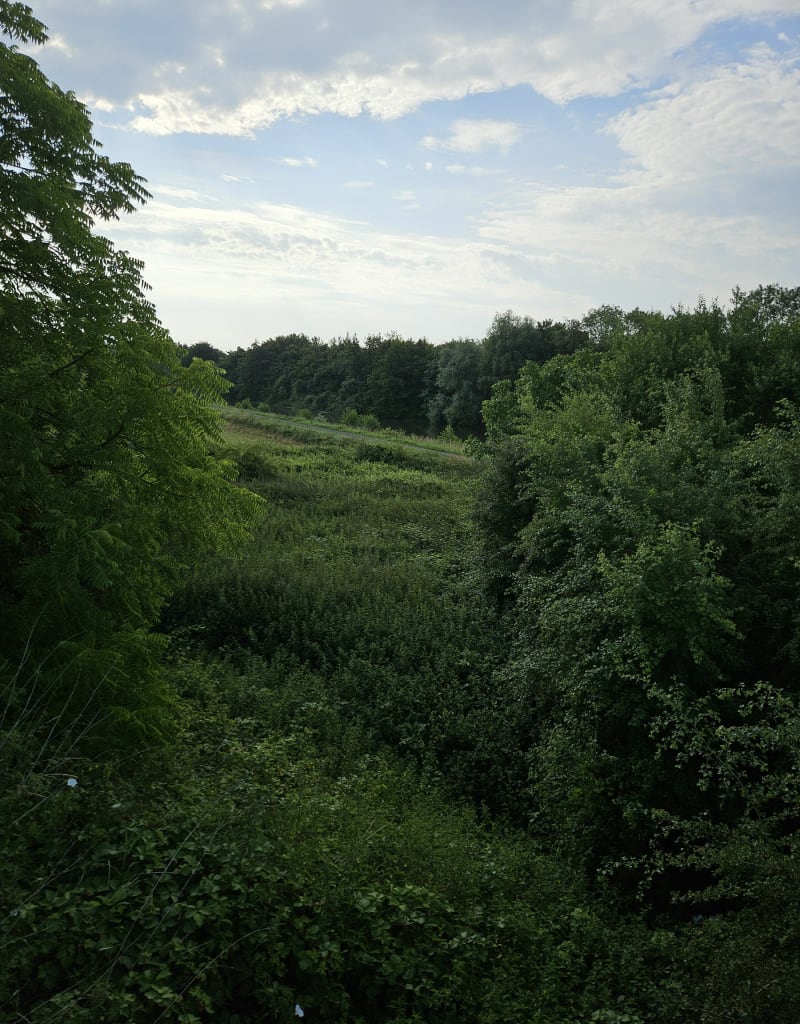 Bord de la Lys - Erquinghem-Lys