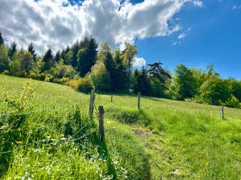 Petite balade autour de la Chaize - Saint-Just-Malmont