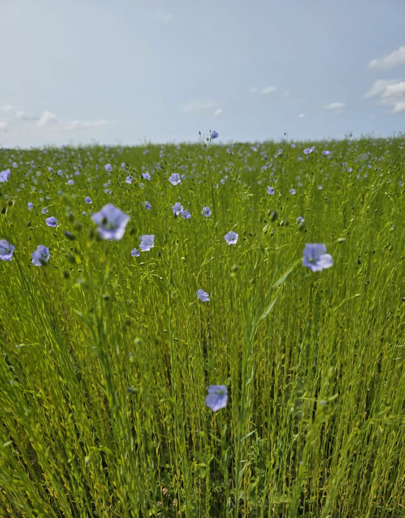 Vallée de la Risle à vélo - Conteville