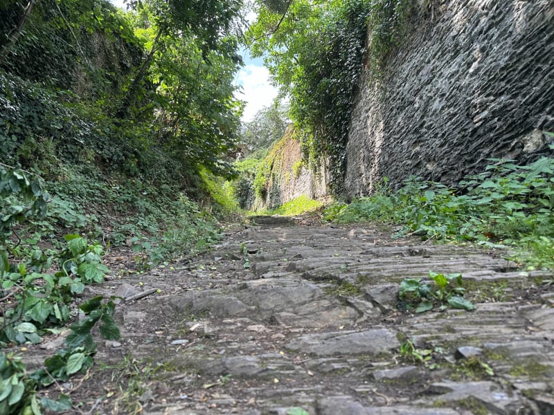 Angers entre la Maine et la Loire - Angers