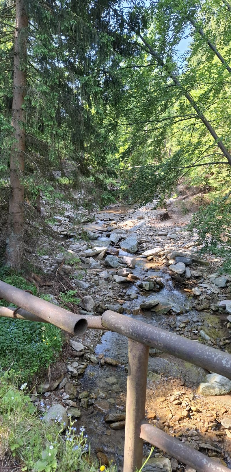 Śnieżnik z Kamienicy - Kamienica
