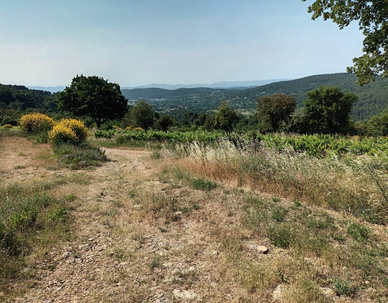 Balade du Malmont au domaine du Dragon - Draguignan