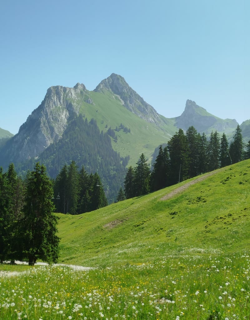 Pointe de Pelluaz, par Tête des Fieux - Bernex