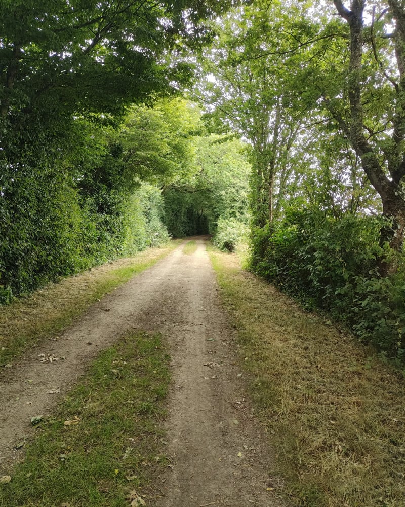 Promenade autour du Vendeespace - Mouilleron-le-Captif