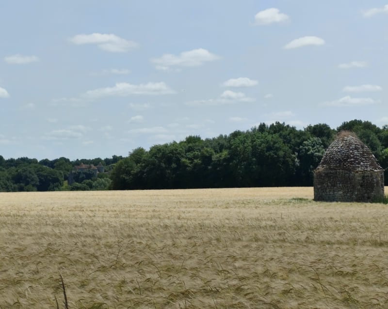 Balade sur Les rives de l'Anglin et Moulin de Salleron - Ingrandes