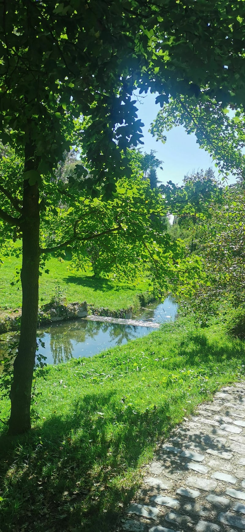 Superbe parc de l'Ouest à Madrid - Madrid