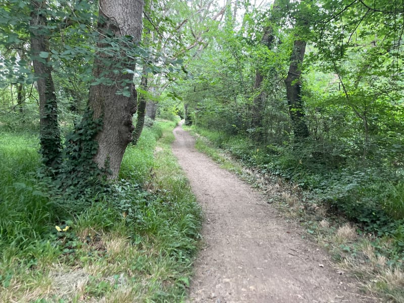 Petite balade à vélo autour de Toulouse - Toulouse