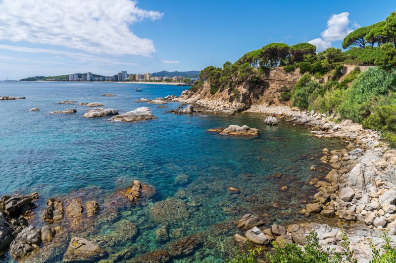 Camí del Cap de Planes-Camí de Ronda-GR 92 - Sant Joan de Palamos