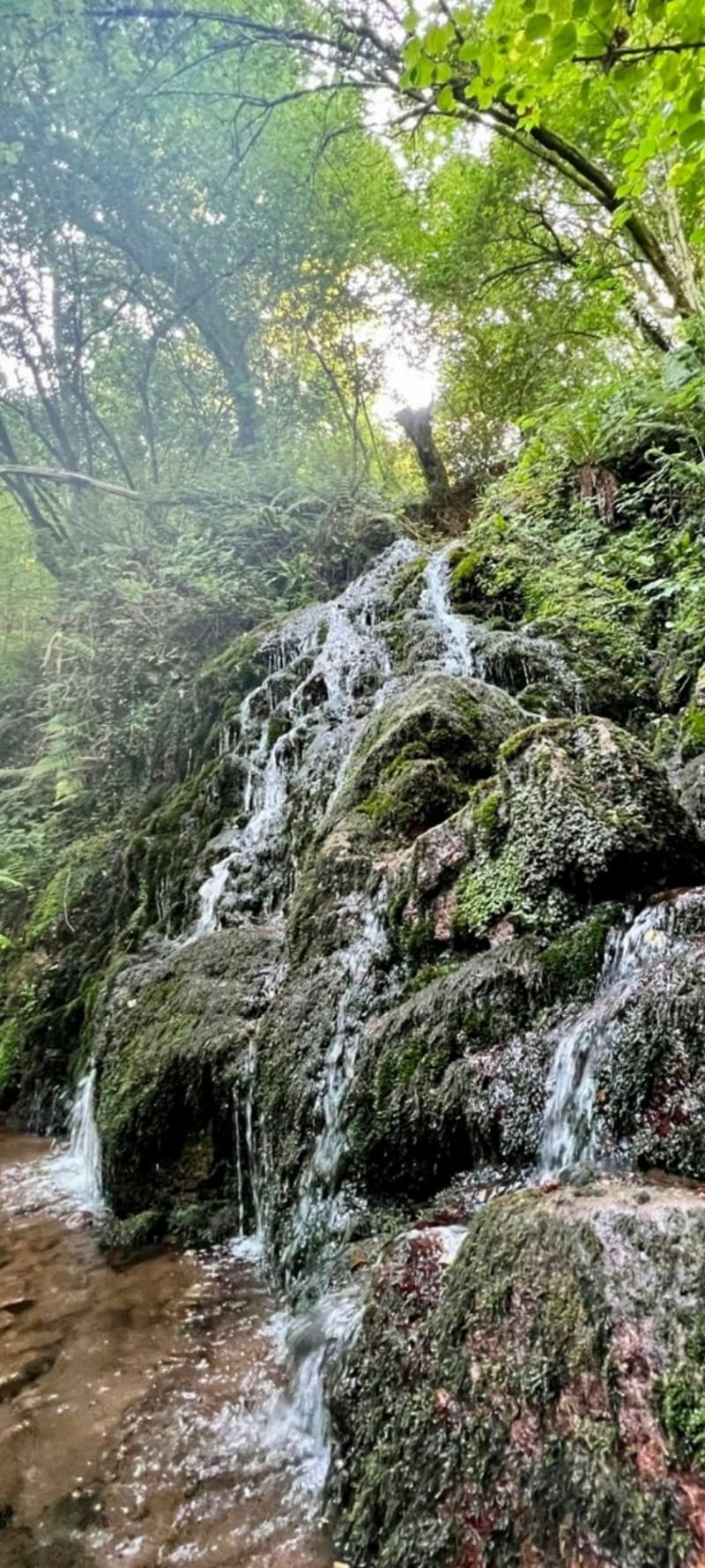 Cascade dé Xorroxin - Randonnée - Erratzu