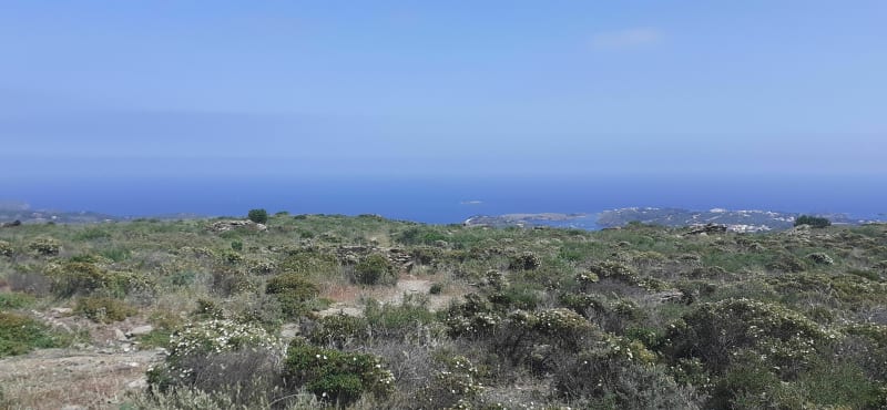 Marche à pied à Palau-Saverdera - Palau Saverda