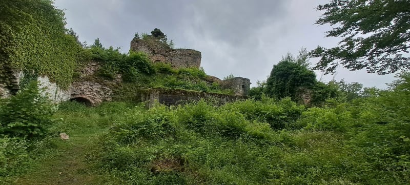 Château du Schwarzenbourg - Griesbach-au-Val