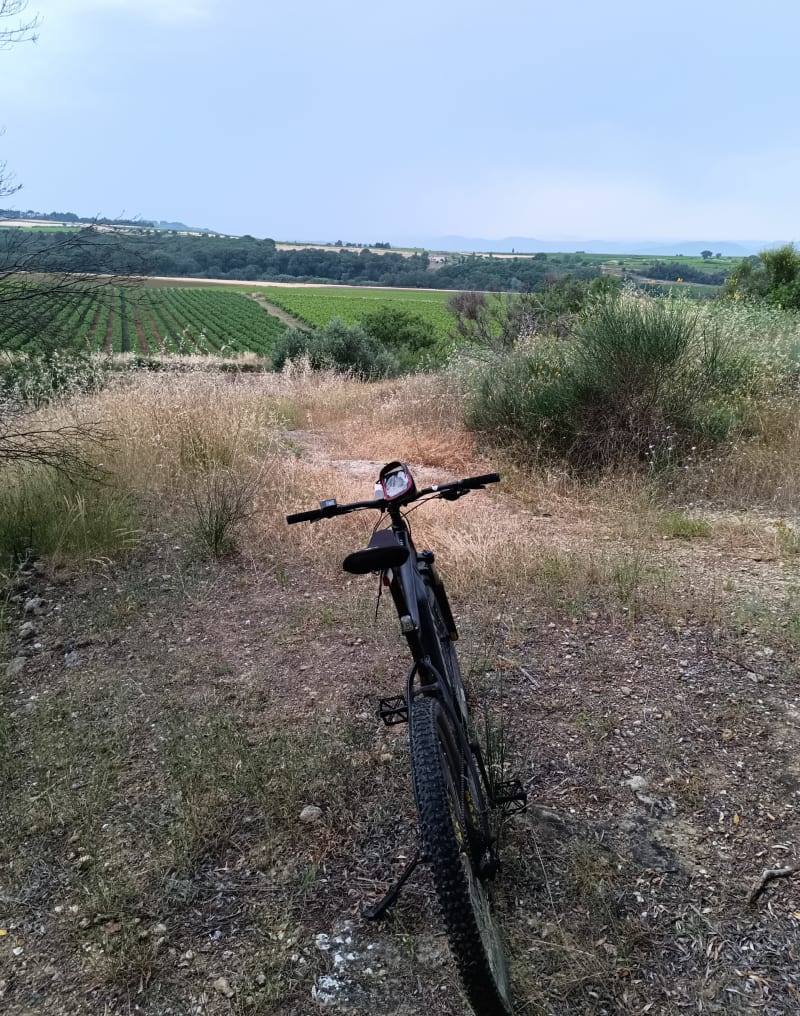 Balade dans les vignes à Espondeilhan, par Puimisson - Espondeilhan