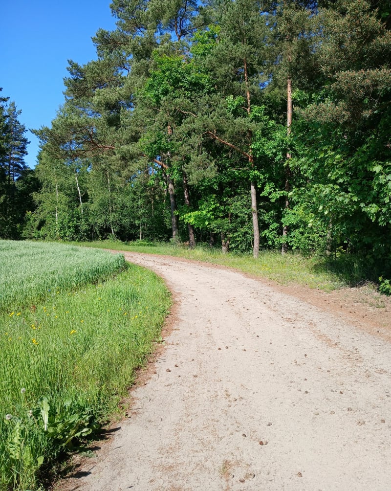Spacer powoli à Kębłowo - Kębłowo