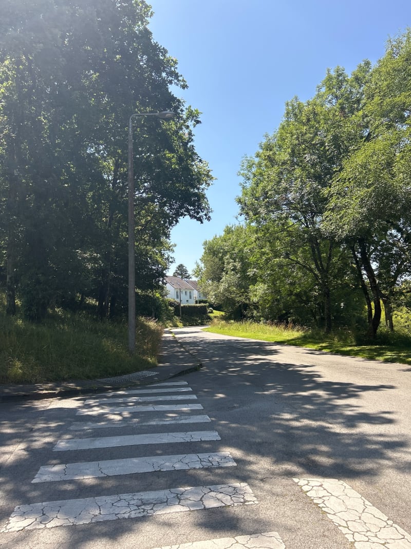 Balade près du rives du Vincin - Vannes