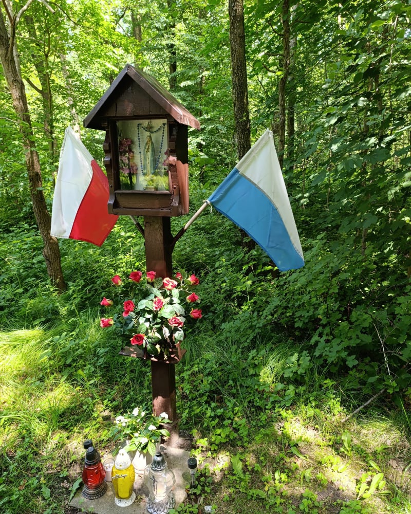 Daleko od szosy (Gostyń-Kobiór-Gostyń) - Gostyń