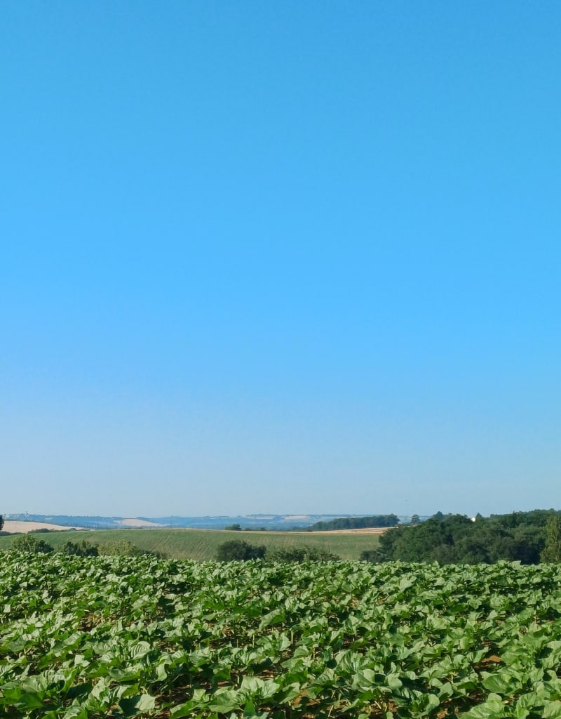 Vallée Auroue - Gimbrède