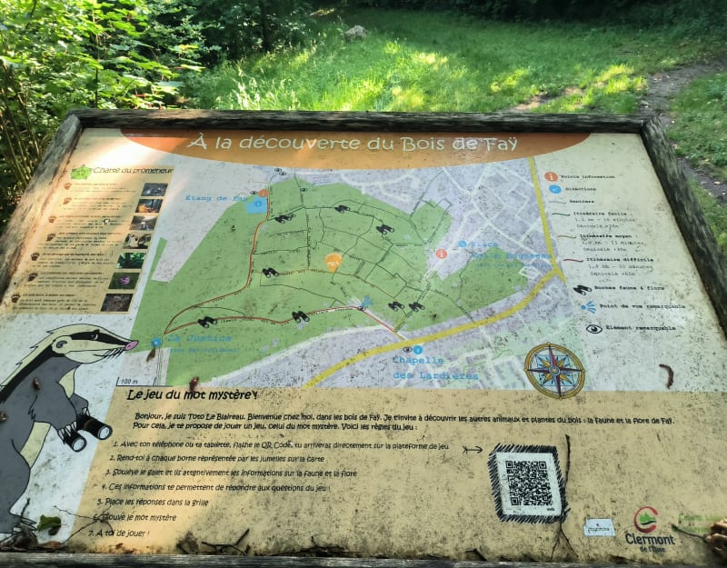Bois de fay - Clermont