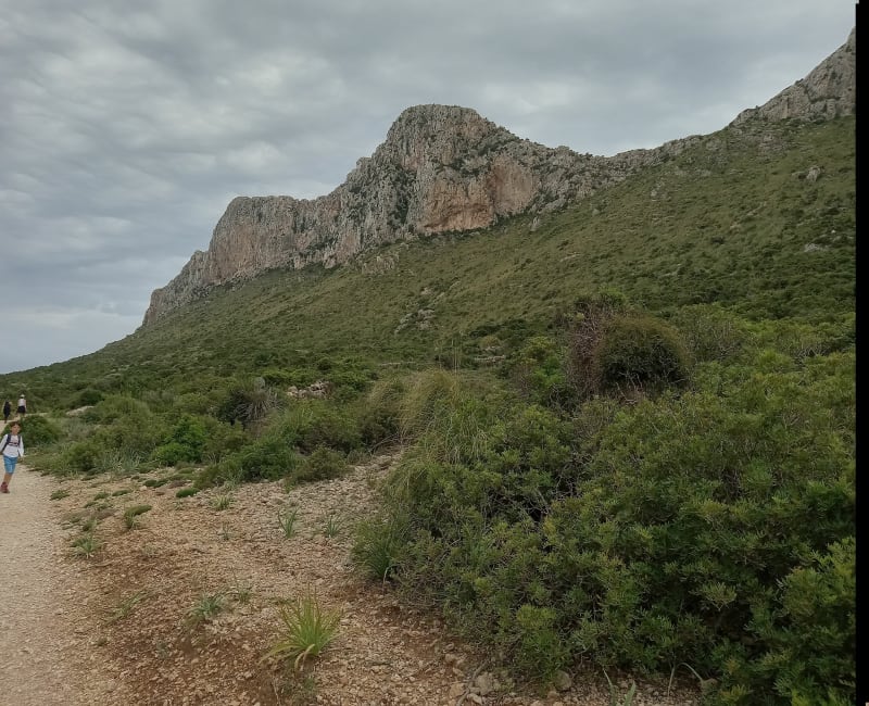 Vall de Boquer - Port de Pollença