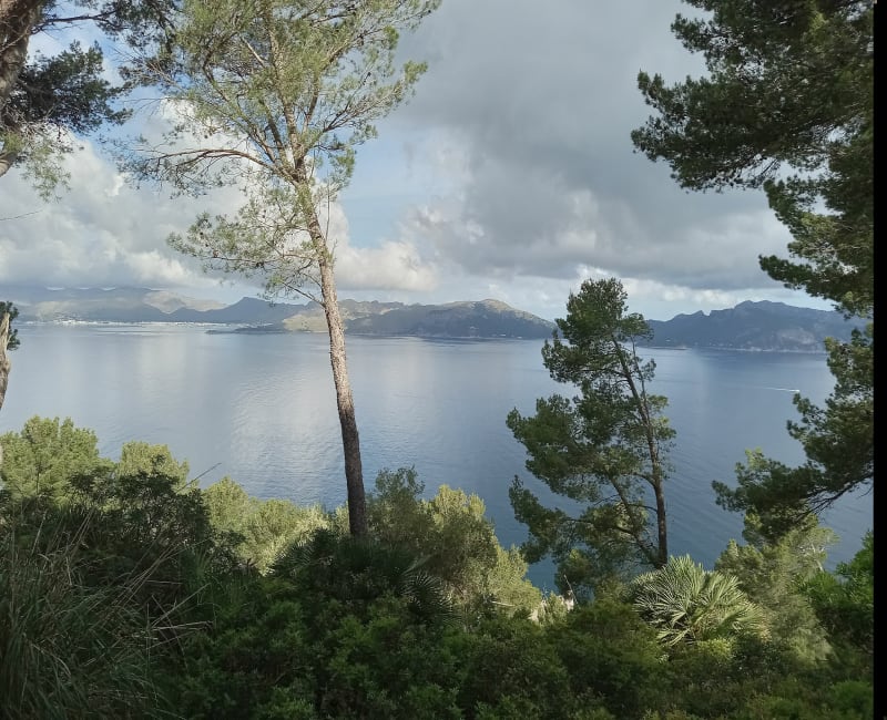 Penya des Migdia - Alcudia