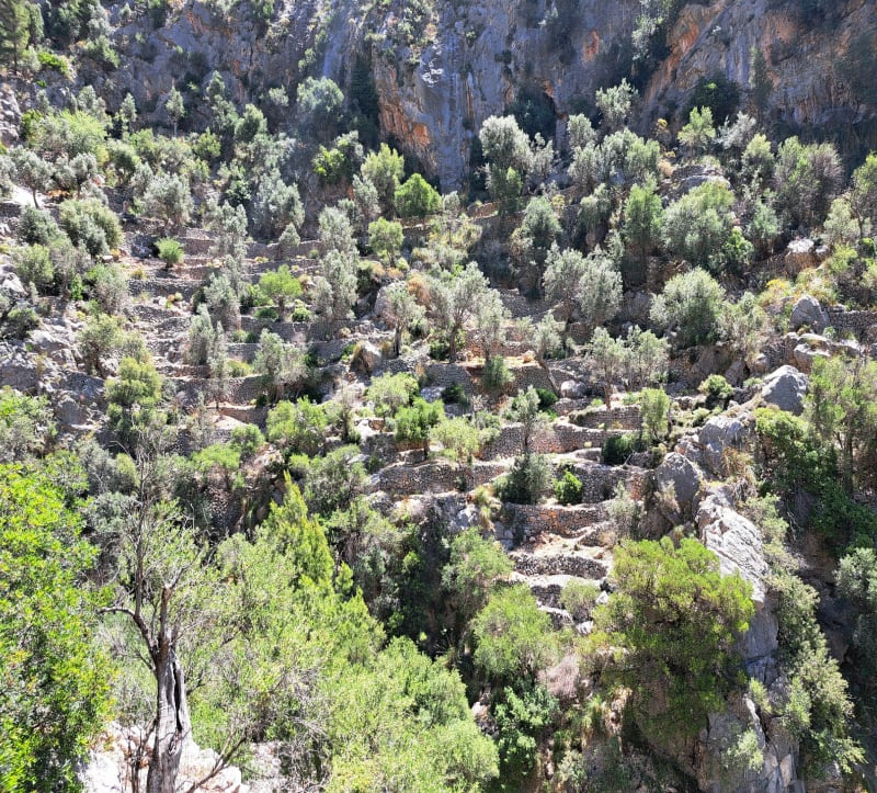 Cascade de l'Ofre - Sóller