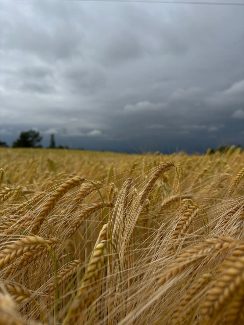 Balade en campagne de St-Héand - La Fouillouse