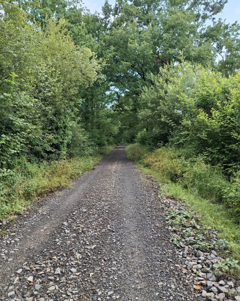 Les Cents Vergées à Angey - Jullouville