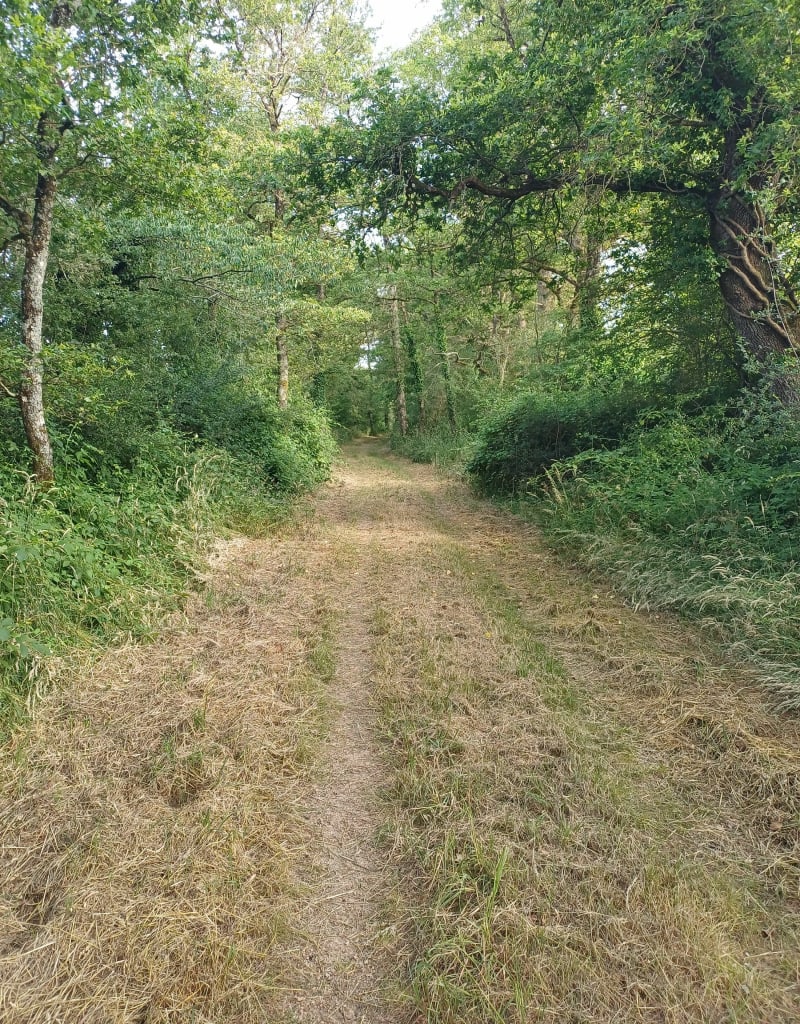 Availles-Limouzine / Pressac - Availles-Limouzine