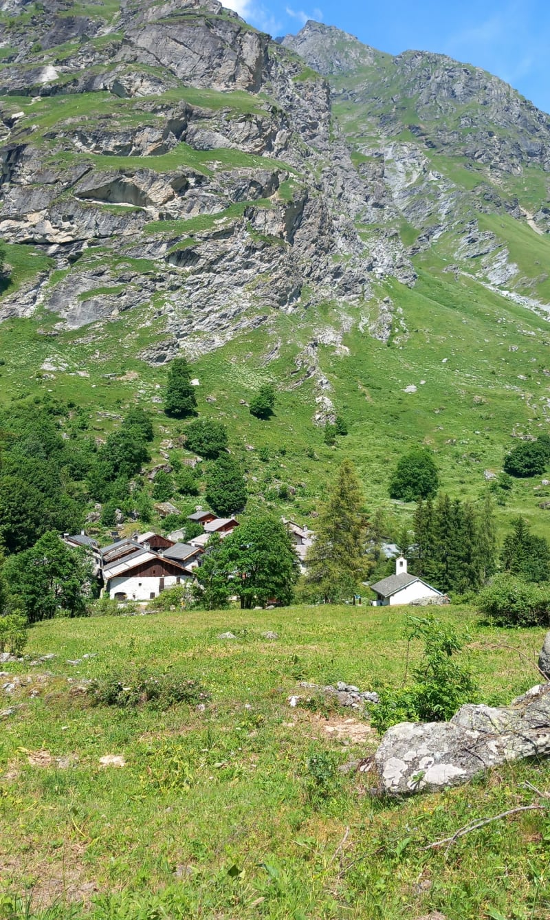 Le laizonnay - Champagny-en-Vanoise