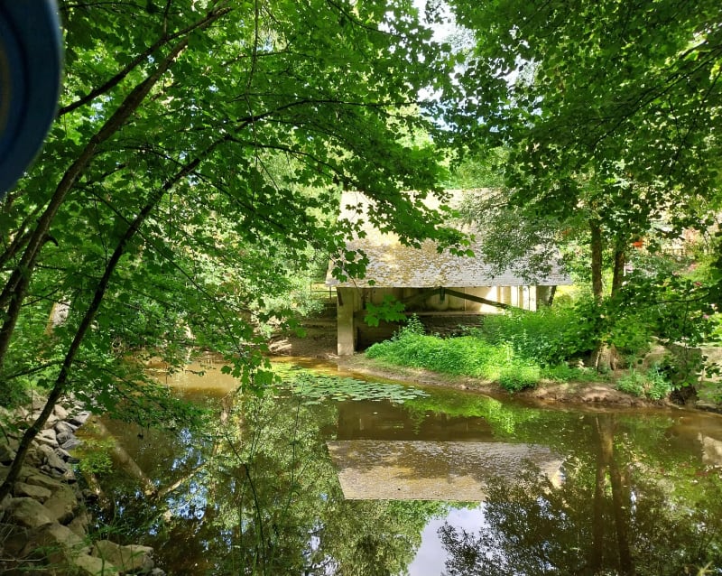 Le long de la Logne, par la Folière - Corcoué-sur-Logne