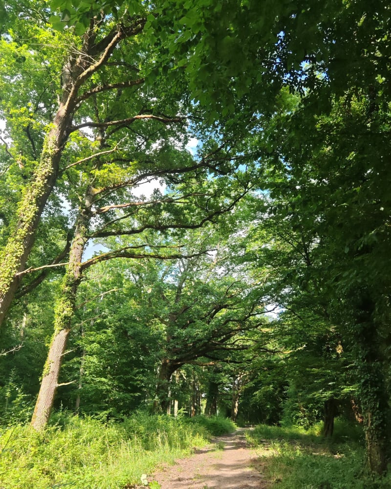 Tigery, entre Parc et Forêt - Tigery