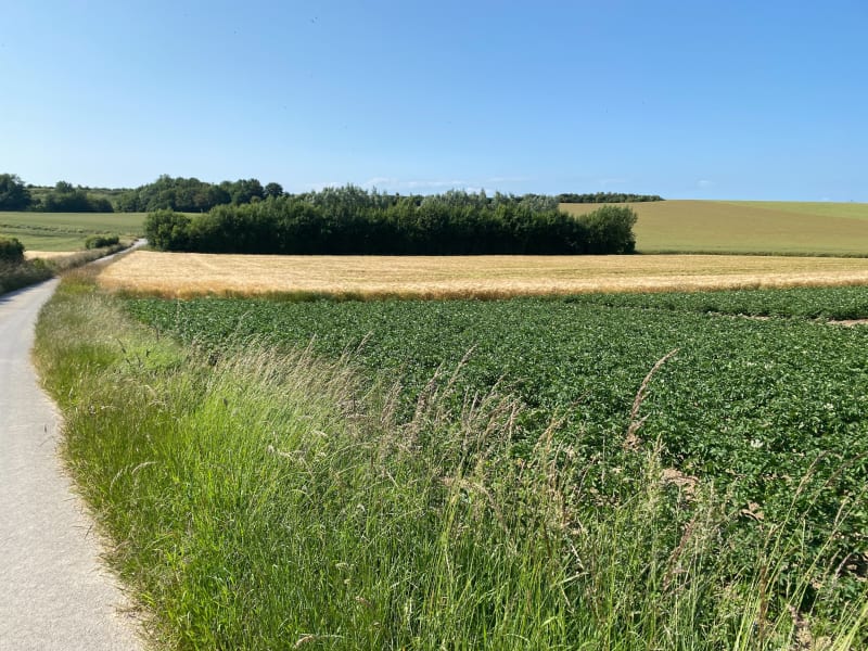 Balade à Tilques, par le Paradis - Tilques