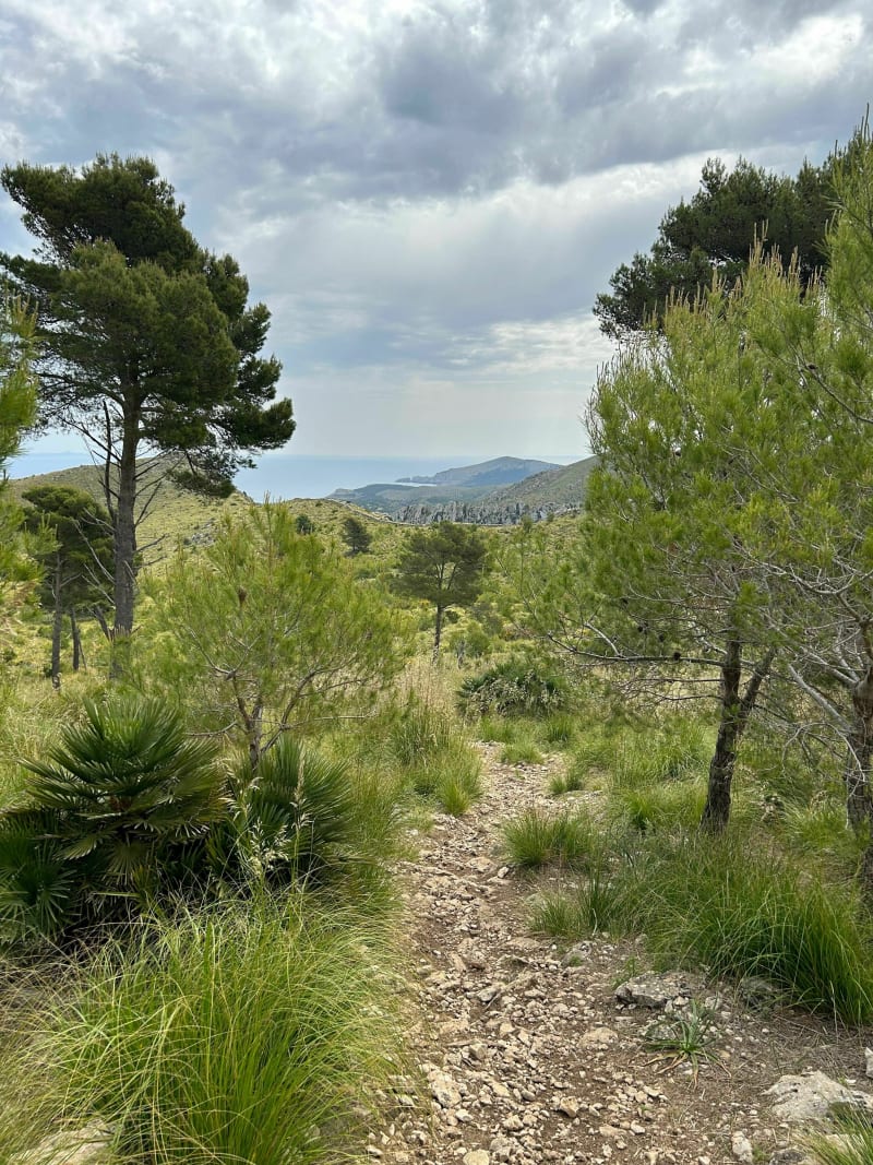 Parc Natural de la Península de Llevant