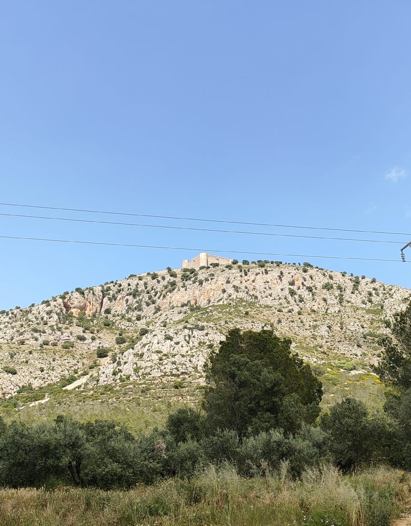 Catell de Mongri - Torroella de Montgrí
