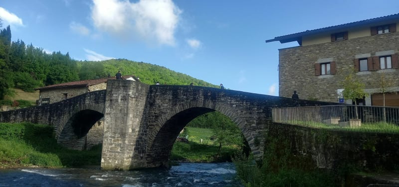 De Zubiri à Pampelune - Zubiri