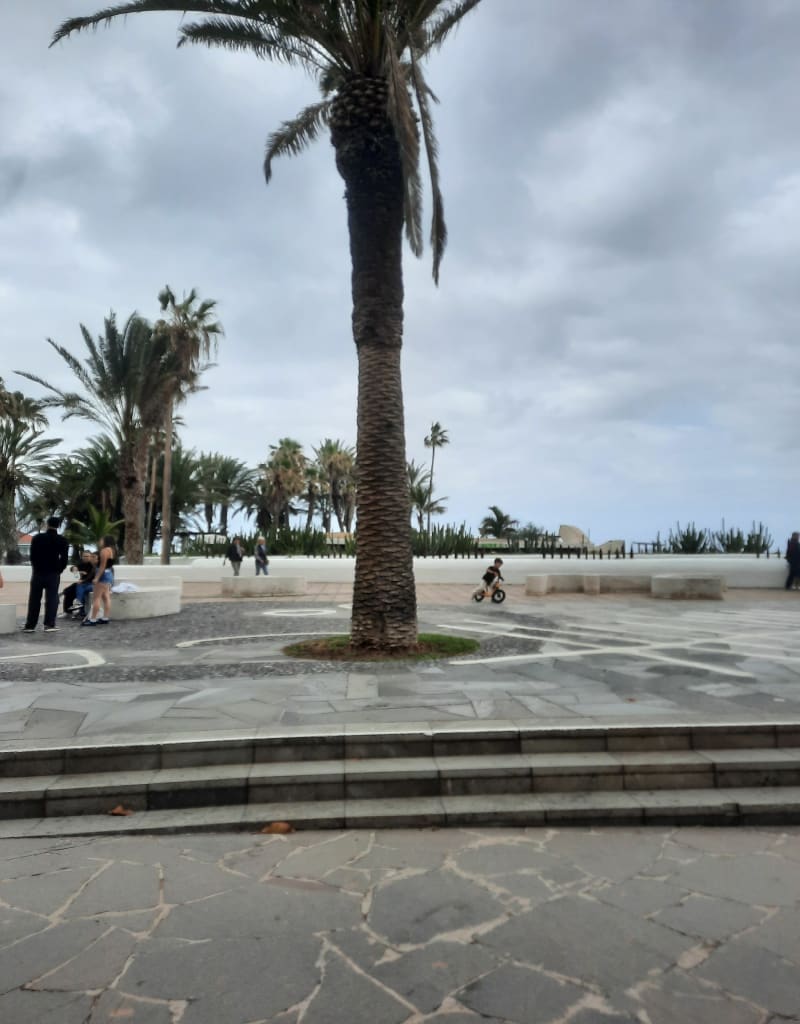 Porto del cruz - Puerto de la Cruz