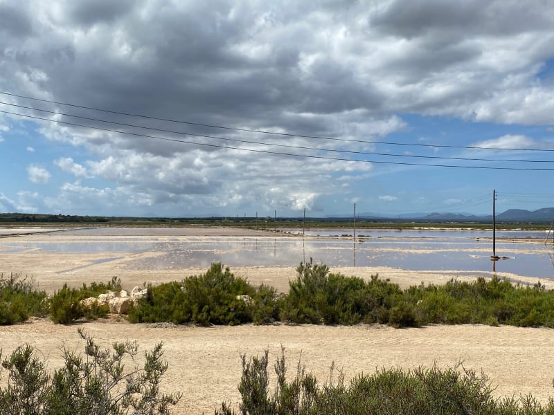 Ses salines - parc natural ES TRENC-SALOBRAR DE CAMPOS - Campos