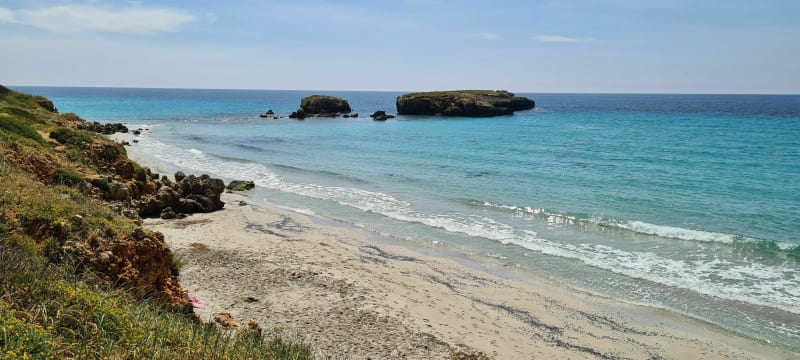Cova dels Colombs - Santo Tomás
