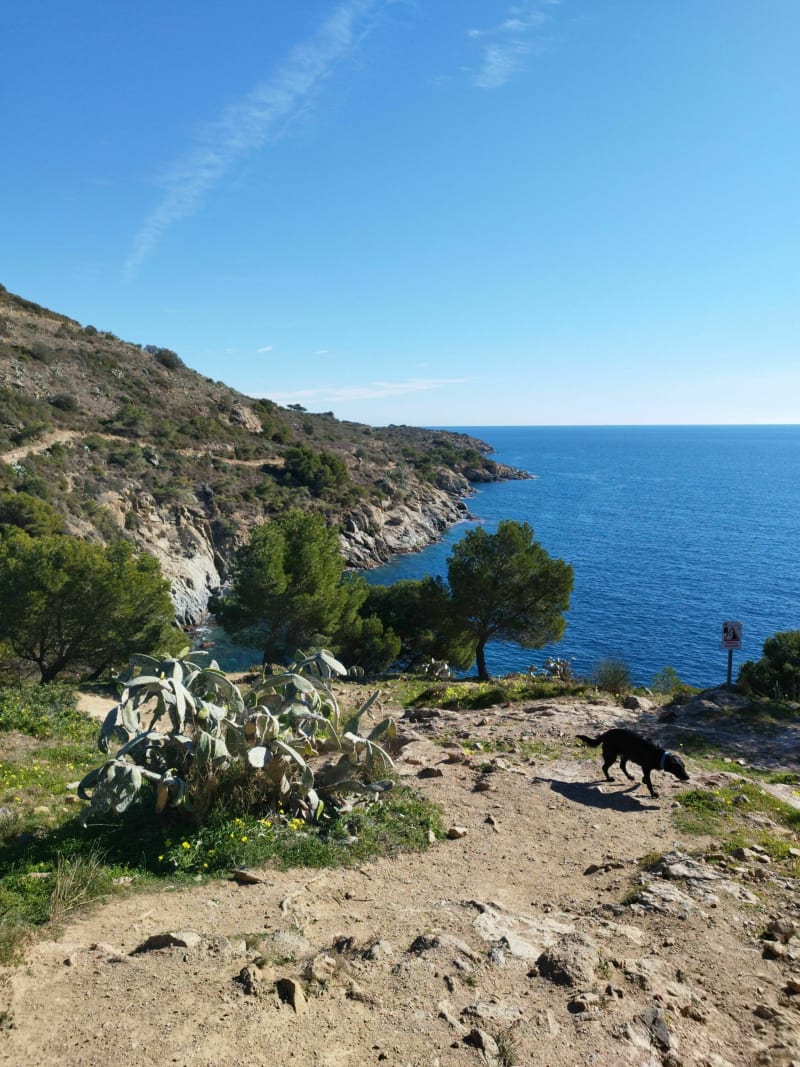 Randonnée Cap de Creus - Montjoi