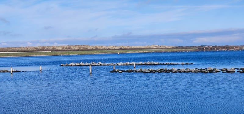 Scharendijk bij zeer lage snelheid - Scharendijke