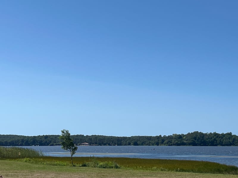 Randonnée autour du Lac d’Aureilhan - Aureilhan