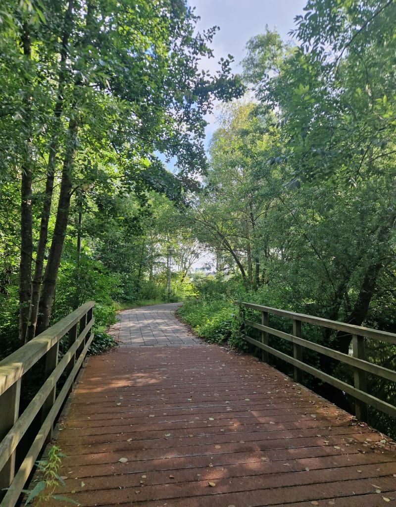Amsterdamse wandeling rond het Flevopark - Amsterdam