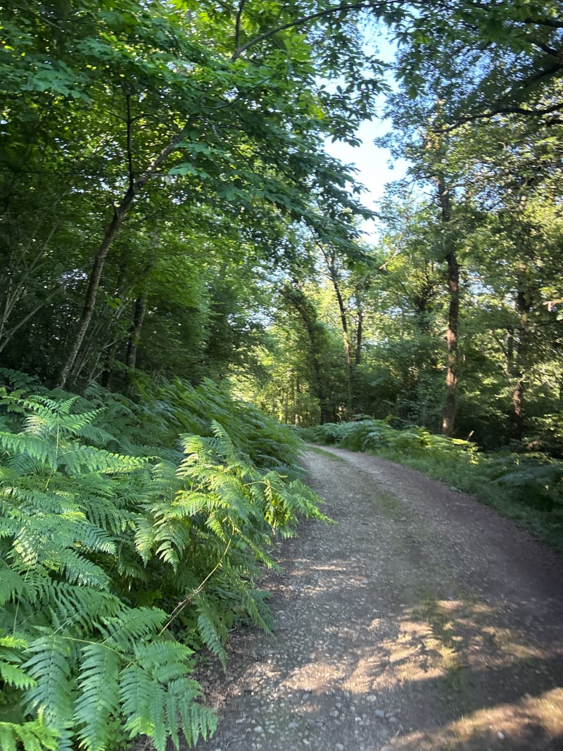 Chemin des seigneurs - Antin