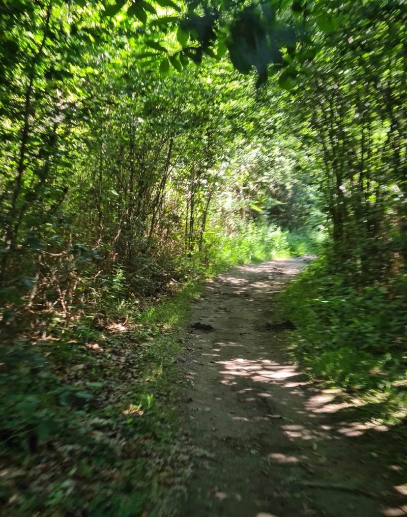 Balade bois de Pau et le long du Luy de Béarn - Pau