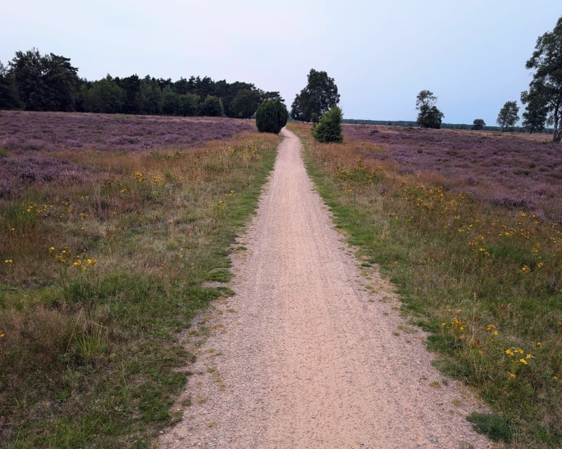 Fietstocht op de Veluwe - Kootwijk