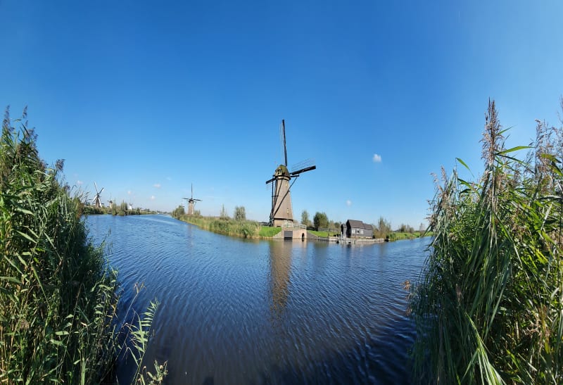 Korte wandeling om de molens te zien - Kinderdijk