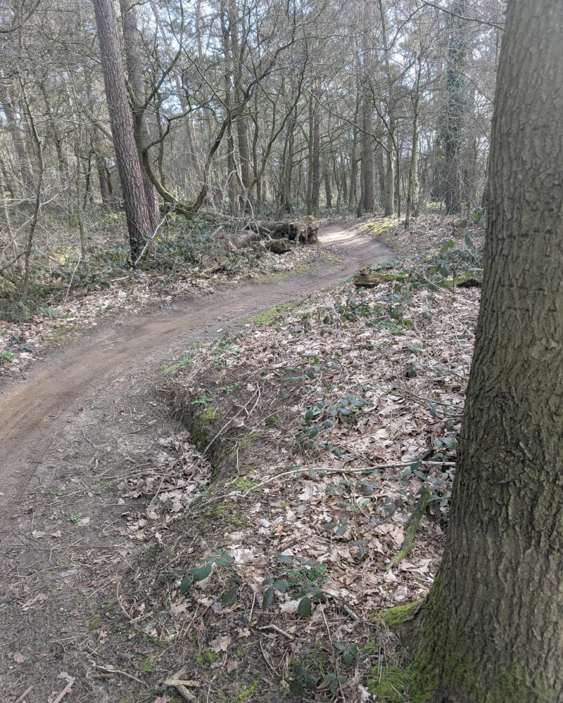 Uitstekende mountainbikeroute rond Roermond - Montfort